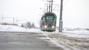 Трамвайная линия «Славянка». Первый месяц работы