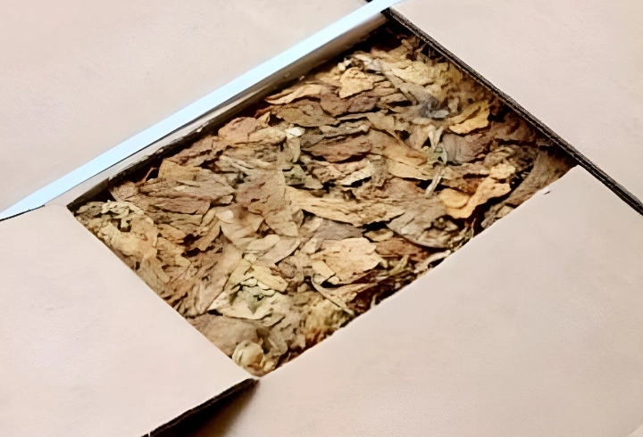 В петербургском порту задержали крупную партию табака из Бангладеша с опасным вредителем - tvspb.ru