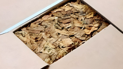 В петербургском порту задержали крупную партию табака из Бангладеша с опасным вредителем