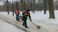 В Петербурге температура опустилась ниже -10 градусов: в зеленых зонах специалисты обрабатывают пути песком