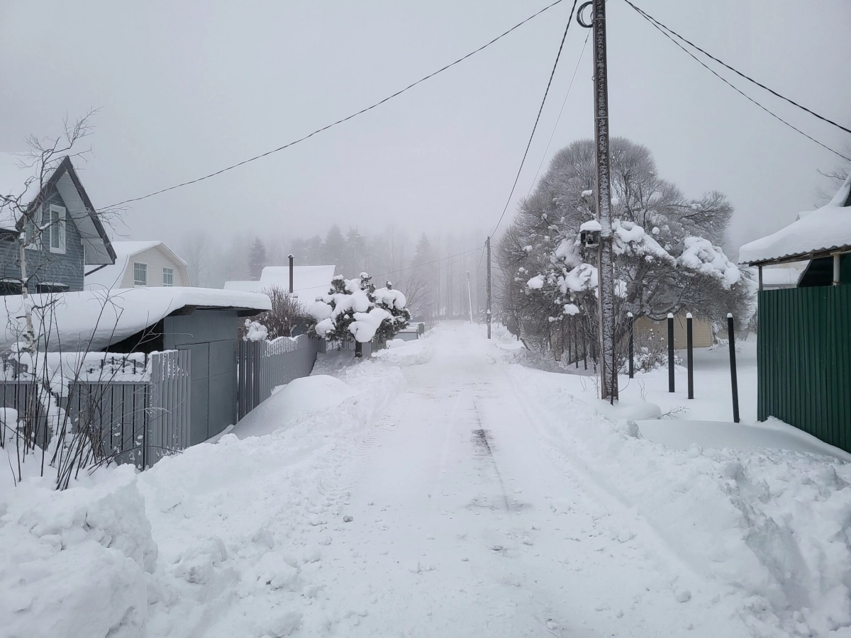 Север Ленобласти накрыло густым туманом - tvspb.ru