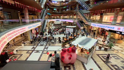 Год донорства официально открыли в Приморском районе