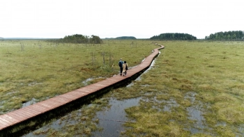 В Петербурге и области появятся новые экотропа и экомаршрут
