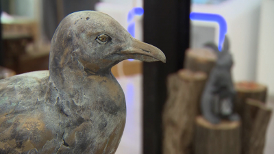 Коллекция музея мостов Петербурга получила новый экспонат: теперь там будет обитать чайка