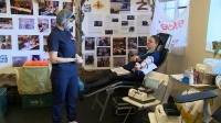 В Приморском районе состоится праздник в честь начала Года донорства