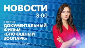 Новости Петербурга к 08:00