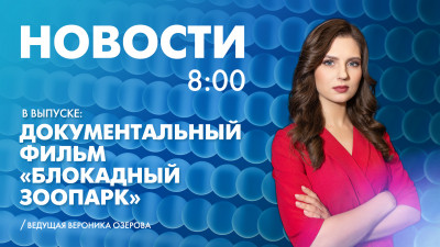 Новости Петербурга к 8:00