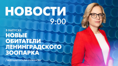 Новости Петербурга к 9:00