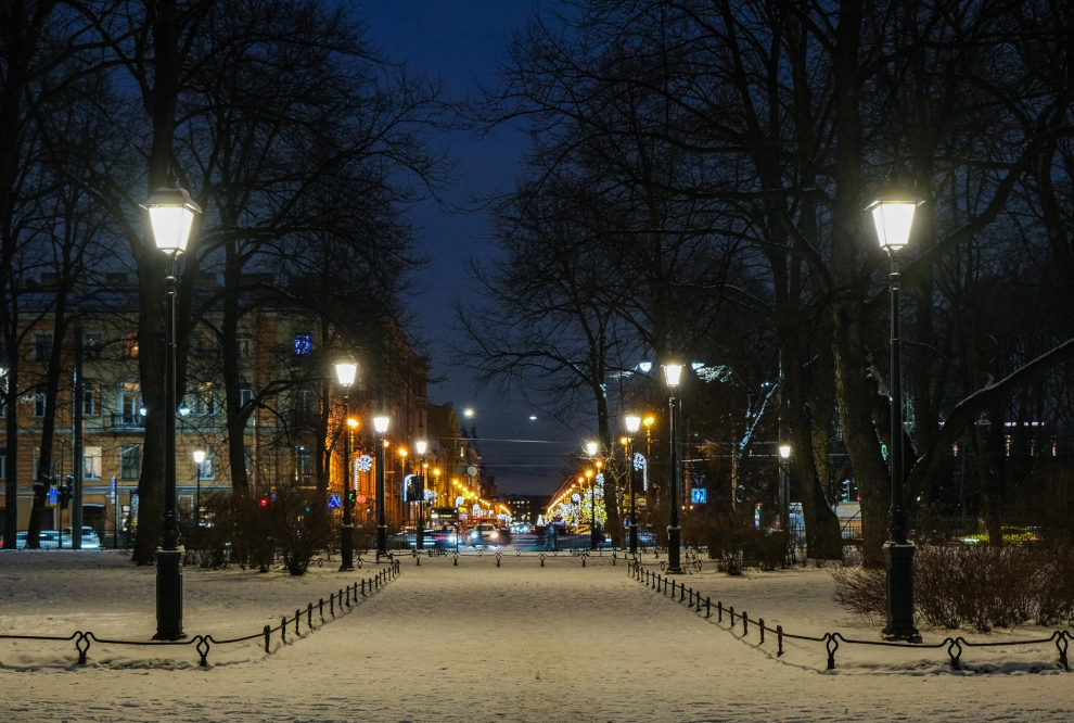 Александр Беглов: Сад Салтыкова-Щедрина получил новую систему освещения - tvspb.ru