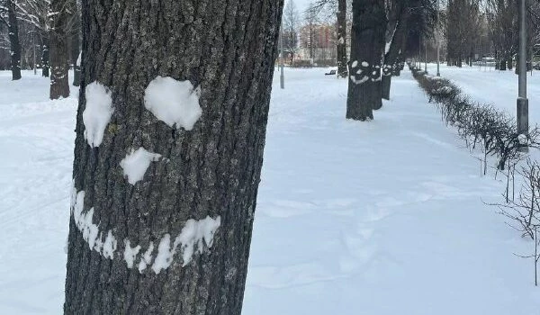 Настроение на всю рабочую неделю: неизвестный художник создал «Аллею улыбок» в Полюстровском парке - tvspb.ru