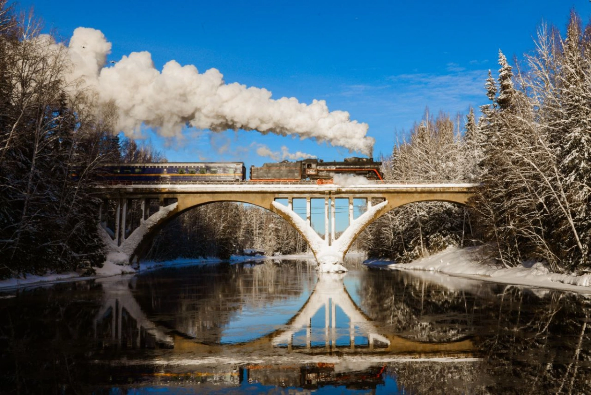 В новогодние праздники перевозки пассажиров на РЖД выросли на 1,5%: из Москвы чаще всего уезжали в Петербург - tvspb.ru
