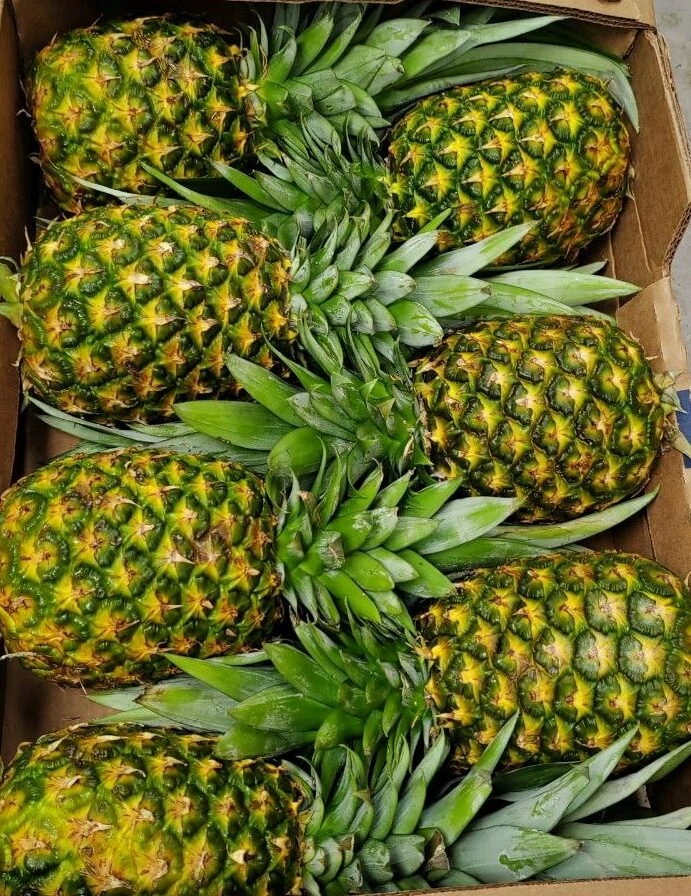 Россельхознадзор назвал самые популярные импортные фрукты и ягоды 2025 года - tvspb.ru