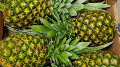 Россельхознадзор назвал самые популярные импортные фрукты и ягоды 2025 года