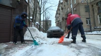 Как Петербург решает вопрос нехватки дворников и механизаторов: Евгений Разумишкин приехал с рабочим визитом в Московский район