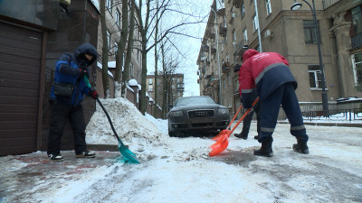Как Петербург решает вопрос нехватки дворников и механизаторов: Евгений Разумишкин приехал с рабочим визитом в Московский район