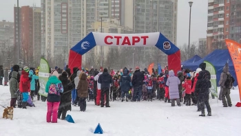 Более 200 лыжников приняли участие в большом спортивном празднике в Полюстровском парке