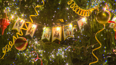 Новогодняя ель на Якорной площади в Кронштадте стала участницей конкурса «Елки России»