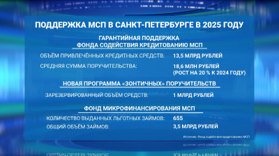 Фонд содействия кредитованию в 2025 году помог МСП Петербурга привлечь более 13,5 млрд рублей с помощью поручительств
