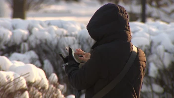 Правительство РФ рассматривает дополнительные меры против кибермошенников: второй пакет законов