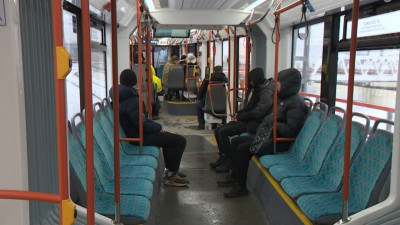 Интервал на трамвайной линии между Купчино и Шушарами планируют уменьшить до 5 минут