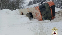 В Нижегородской области перевернулся автобус с пассажирами