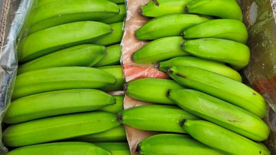 Через порт Петербурга ввезли более миллиона тонн бананов