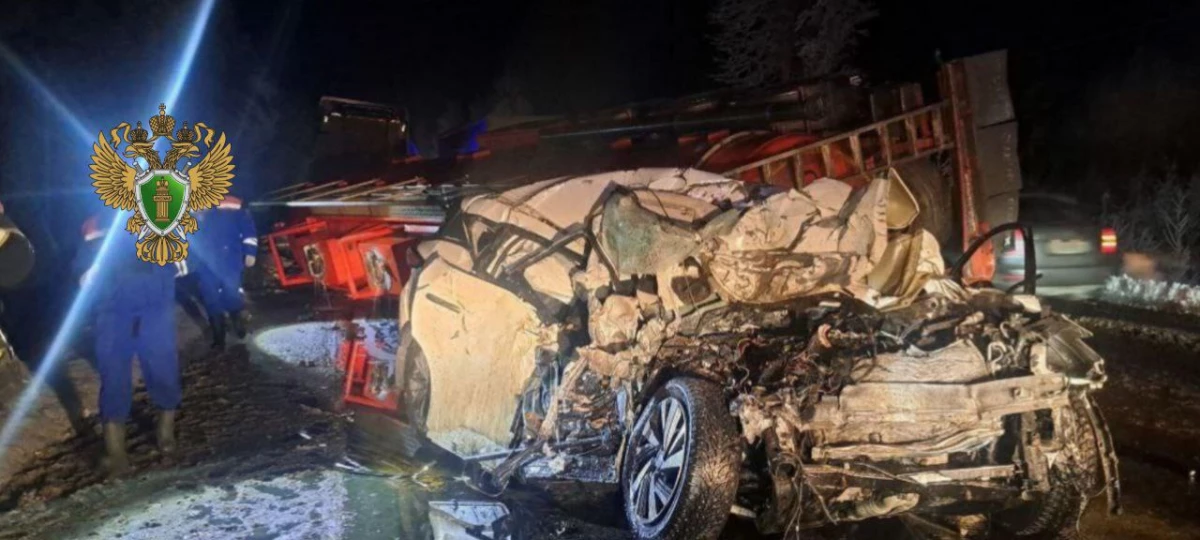 Прокуратура организовала проверку по факту смертельного ДТП на трассе Р-21 «Кола» - tvspb.ru