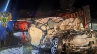 Прокуратура организовала проверку по факту смертельного ДТП на трассе Р-21 «Кола»