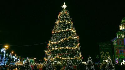 Стартовало всероссийское голосование за лучшую ёлку: Петербург представляет ель в Кронштадте