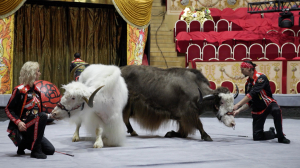 Акробаты, дрессированные животные и шуты. Королевский цирк в Петербурге