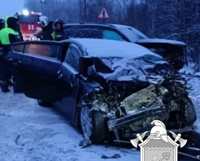 Смертельное ДТП на 184 километре «Колы»: двое погибли, ребенок госпитализирован - tvspb.ru