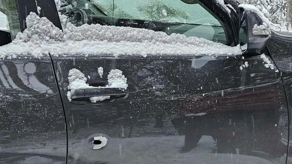 Принял ехавшую машину за лося: в Ленобласти охотник застрелил человека - tvspb.ru