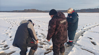 В двух заказниках Ленобласти пресекли незаконную рыбную ловлю