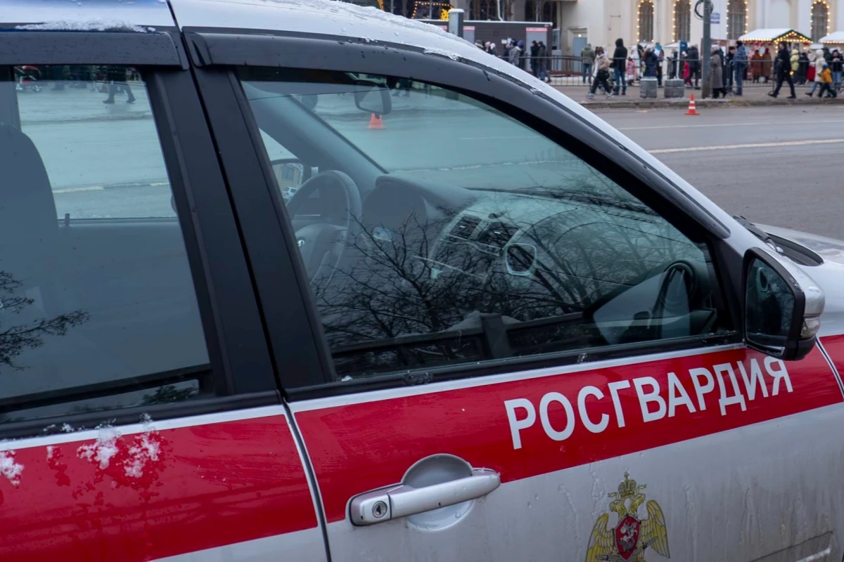 Росгвардейцы спасли петербуржца, упавшего с моста у Петропавловской крепости - tvspb.ru