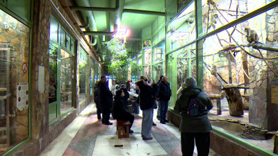 В новогодние каникулы в Ленинградском зоопарке открыли интерактивные станции для детей