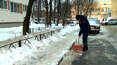 Петербург вышел из снежного плена: 8 районов города почти завершили уборку после циклона