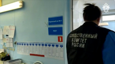 Педиатры из Петербурга прибыли в Новокузнецк