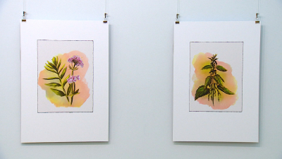 «Страницы памяти»: в Михайловском замке открыли выставку об учёных, сохранивших растения Ботанического сада в блокаду