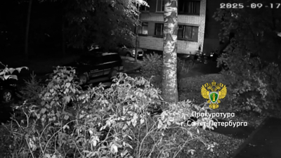 Угнал, но не уехал: суд в Петербурге рассмотрит дело о неудавшейся краже мотоцикла