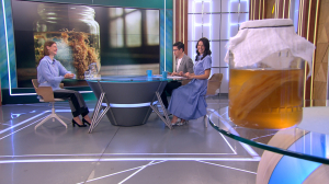 Симбиоз бактерий и дрожжей, он же комбуча, он же «чайный гриб»: польза и мифы напитка из банки со странным обитателем