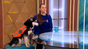 «С кем угодно, но не со мной»: почему заблудиться в лесу может каждый и что надо знать, уметь и взять с собой