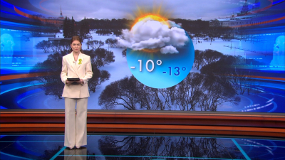 Морозно и облачно с прояснениями: какая погода ожидается в Петербурге 28 января