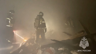 В Ленобласти из горящего ангара спасли десять барашков