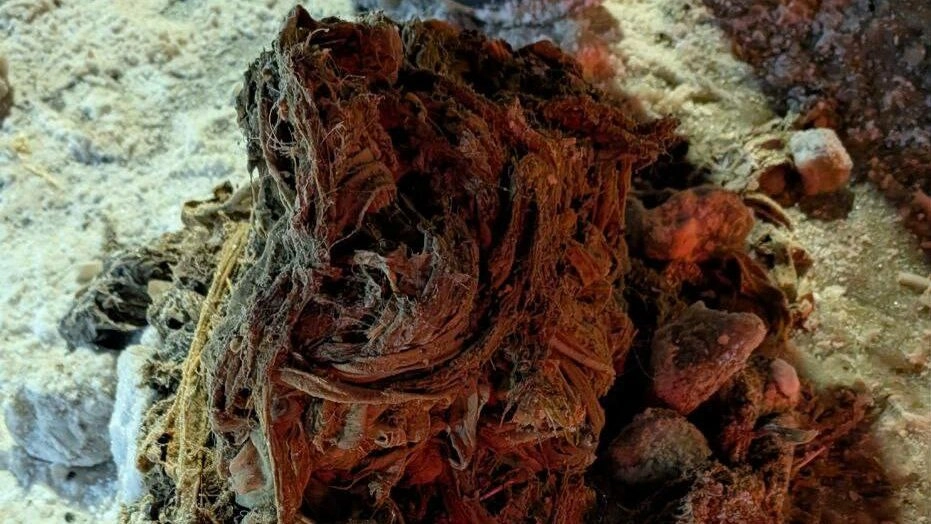 «Водоканал» показал, что оказалось в петербургской канализации на праздниках - tvspb.ru