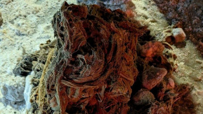 «Водоканал» показал, что оказалось в петербургской канализации на праздниках