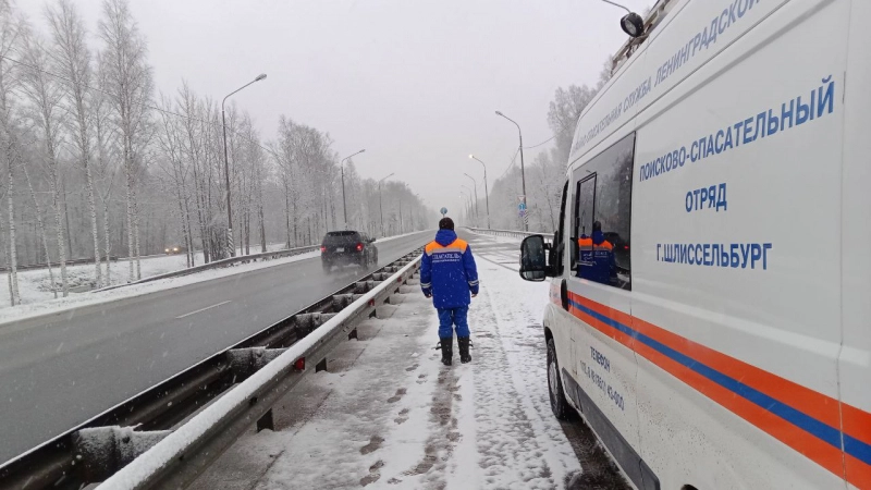 За новогодние праздники спасатели Ленобласти 203 раза выезжали на вызовы - tvspb.ru