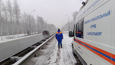 За новогодние праздники спасатели Ленобласти 203 раза выезжали на вызовы