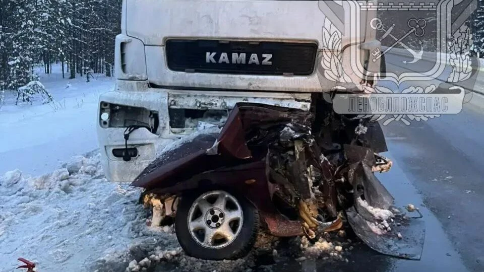 В Ленобласти водитель и пассажир «Киа» погибли в ДТП с КамАЗом - tvspb.ru
