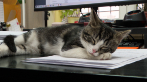 Маруся Садовая: очаровательная сотрудница бухгалтерии  СПП «Нарвское»