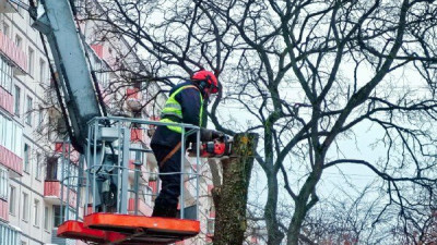 В Петербурге зимой ухаживают за зелёными насаждениями: специалисты проводят санитарную обрезку кустов и деревьев